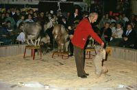 1985-01-12 Doe mer wa show B25 1985-01-12 Doe mer wa show B25